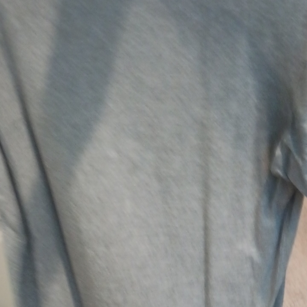 Gray Graphic Tee with Kiwi Design Women's Small - Picture 6 of 6